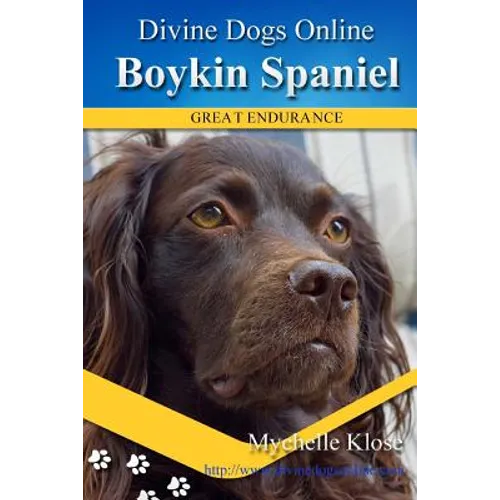 Boykin Spaniels: Divine Dogs Online