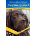 Boykin Spaniels: Divine Dogs Online