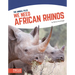 We Need African Rhinos