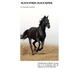 Black Horse, Black Rider