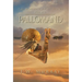 Pallomand