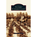 Southern St. Joseph County