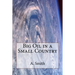 Big Oil in a Small Country