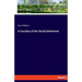A Function of the Social Settlement