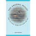 The Amazing Mullet: How To Catch, Smoke And Cook The Fish