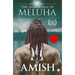The Immortals of Meluha (Shiva Trilogy Book 1)