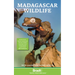 Madagascar Wildlife
