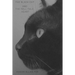 The Black Cat and The Tell-Tale Heart