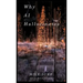 Why AI Hallucinates: The BotVerse Begins