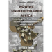 How We Underdeveloped Africa: Unmasking The True Obstacles to Africa's Development in Recent Years