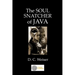 The Soul Snatcher of Java