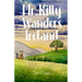 Mr. Kitty Wanders Ireland