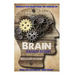 Brain Renovation