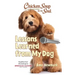 Chicken Soup for the Soul: Lessons Learned from My Dog