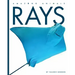 Rays