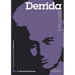 Derrida Reframed: Interpreting Key Thinkers for the Arts