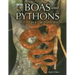 Boas and Pythons of the World
