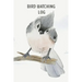Bird Watching Log Book For Kids: Field Notes For Backyard Birders, Birding Journal For Young Children And Adults, Bird Watchers Notebook, Tracking And
