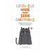 Little Cat Hide-And-Seek Emotions: A Playful Primer to Learn about Your Feelings