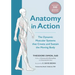 Anatomy in Action: The Dynamic Muscular Systems That Create and Sustain the Moving Body