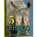 5 Rhinos