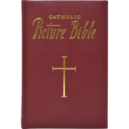 New Catholic Picture Bible: Popular Stories from the Old and New Testaments