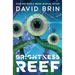 Brightness Reef