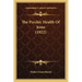 The Psychic Health Of Jesus (1922)