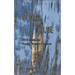 Black and Blue: 2019 National Young Writers Contest