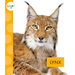 Lynx