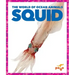 Squid
