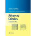 Advanced Calculus: A Geometric View