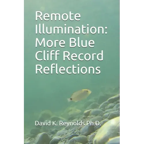 Remote Illumination: More Blue Cliff Record Reflections