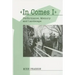 In Comes I: Performance, Memory and Landscape
