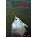 Crappie: How to Catch Them Spring and Summer
