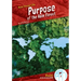 Purpose of the Rain Forest