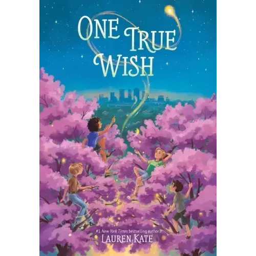 One True Wish