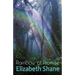 Rainbow of Promise