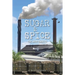 Sugar & Spice