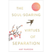 The Soul-Soaring Virtues of Separation: 111 Learnings to Heal Your Heart and Help You Fly