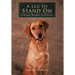 A Leg to Stand On: A Shared Journey of Healing