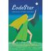 LodeStar: reflections of light and dark