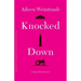 Knocked Down: A High-Risk Memoir
