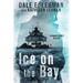 Ice on the Bay