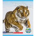 Tigers (Nature's Children)