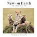 New on Earth: Baby Animals in the Wild