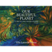 Our Beautiful Planet: A Trip To United States