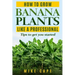 How to grow Banana Plants like a Professional: Beginner's guide and tips to get you started