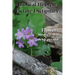 Biblical Hebrew Picture Dictionary