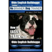 Olde English Bulldogge Training Dog Training with the No BRAINER Dog TRAINER We Make it THAT Easy!: How to EASILY TRAIN Your Olde English Bulldogge